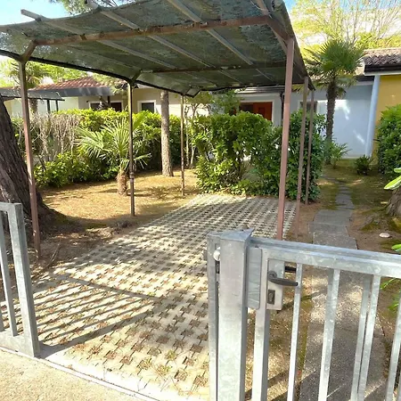 In 54672 * ביביונה