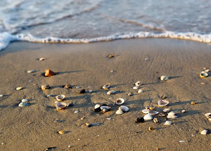 In 54672 Appartement