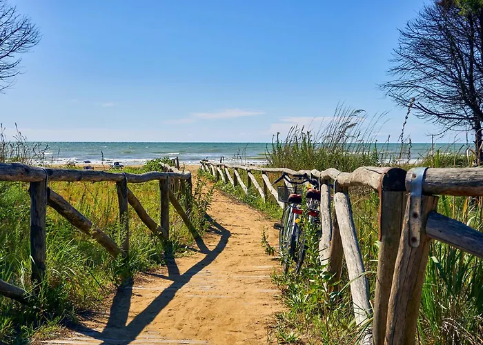 In 54672 * ביביונה